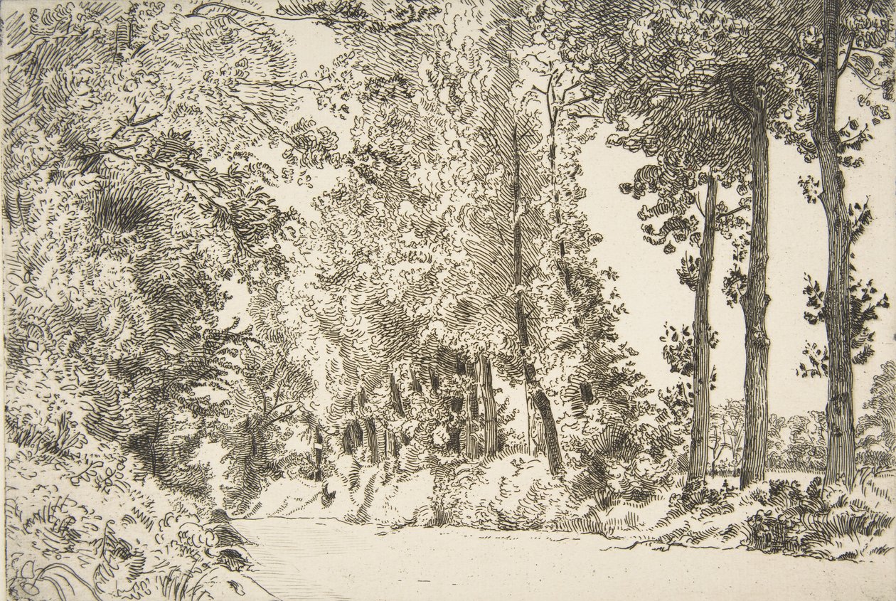 Rue des Bruyères, em Sèvres, 1868. de Felix Bracquemond