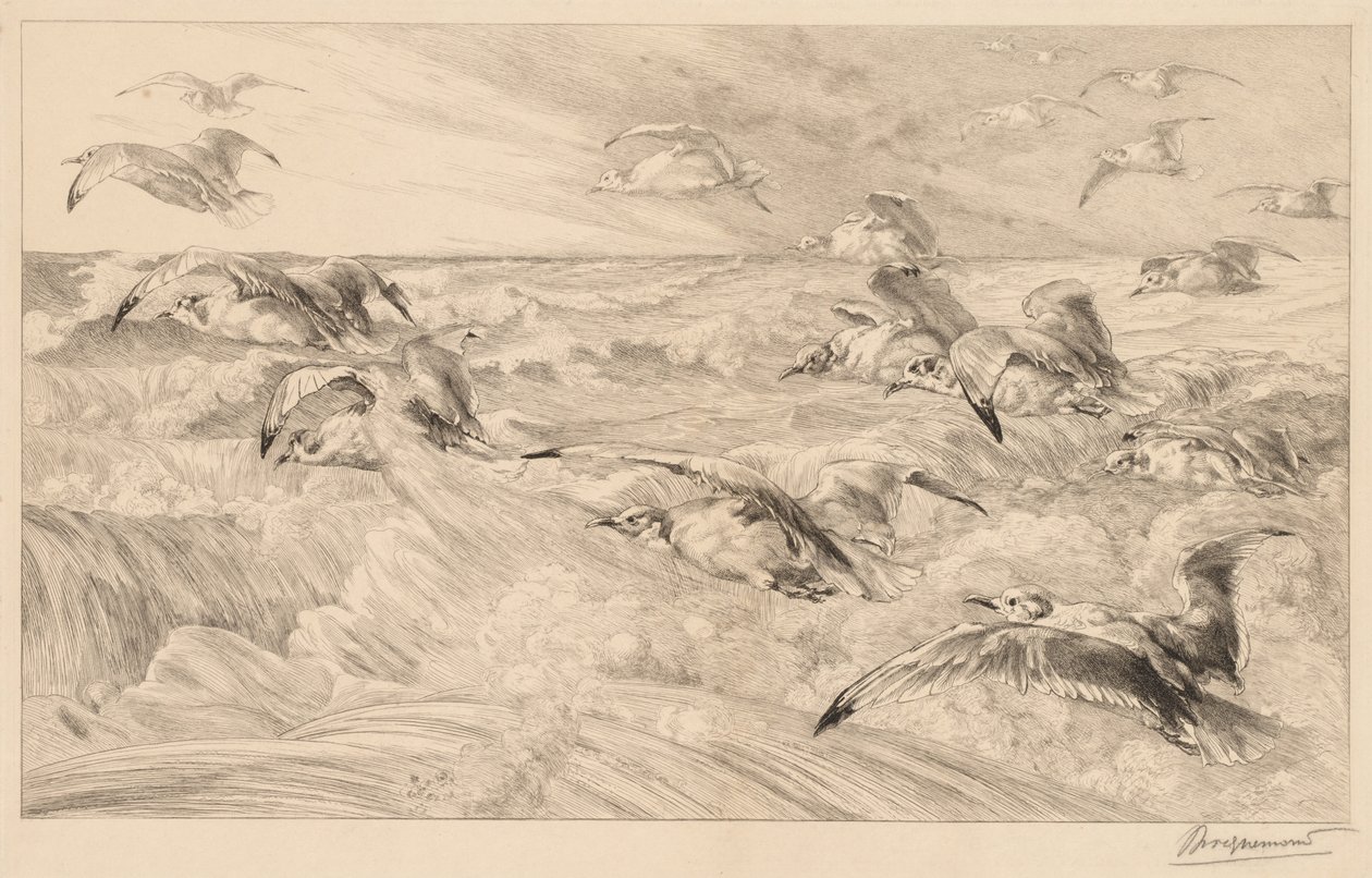 Gaivotas de Felix Bracquemond