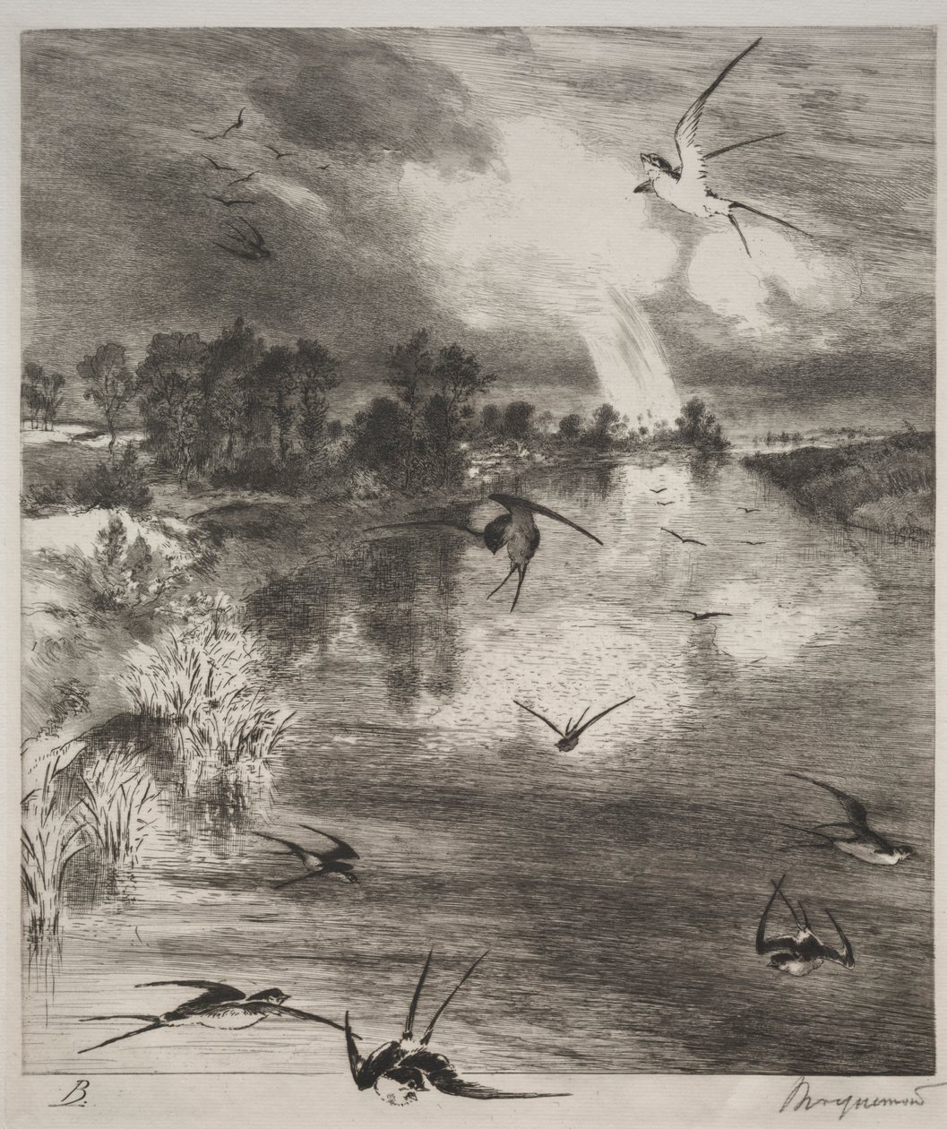 Andorinhas, 1882. de Felix Bracquemond