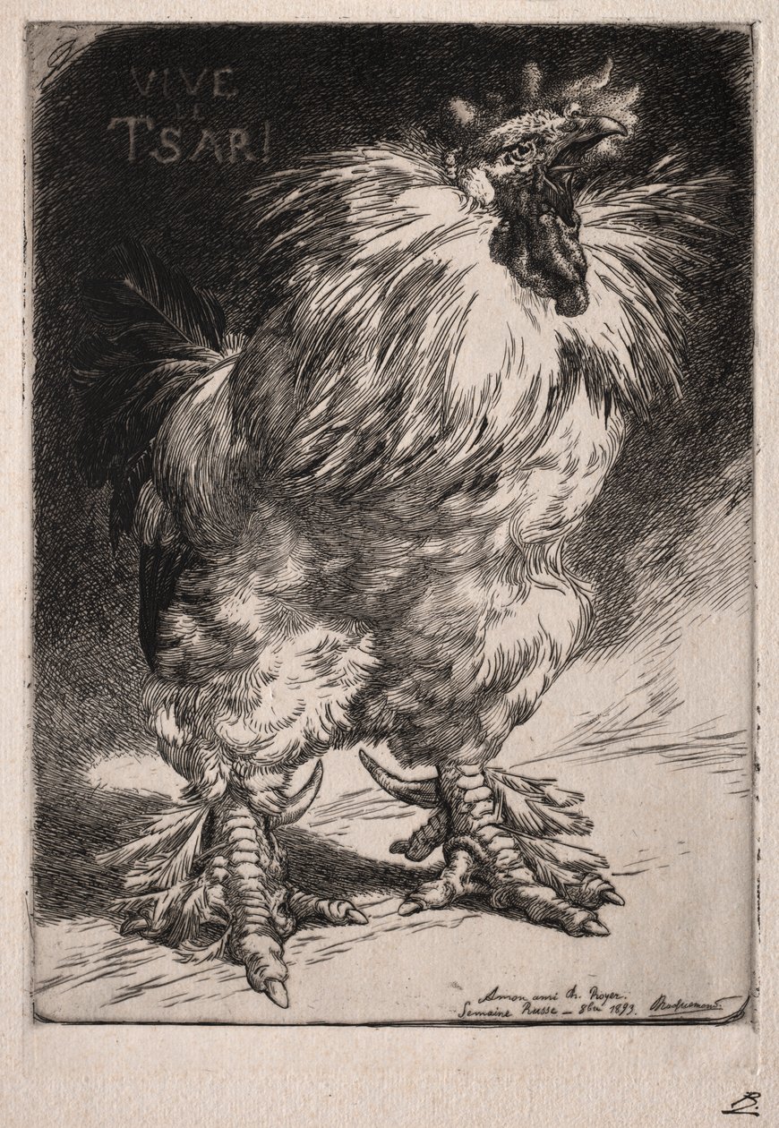O galo francês de Felix Bracquemond