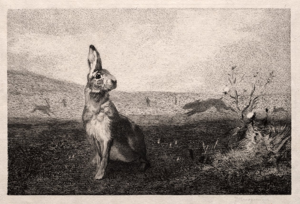 A Lebre (depois de A. de Balleroy) de Felix Bracquemond