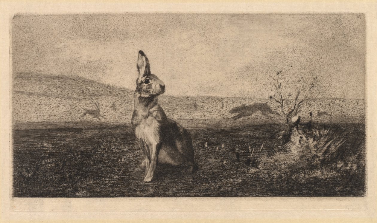 O Hare Le Lièvre, 1865. de Felix Bracquemond