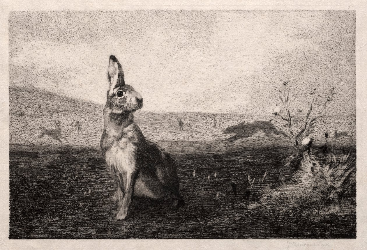 A lebre após A. de Balleroy, 1865. de Felix Bracquemond