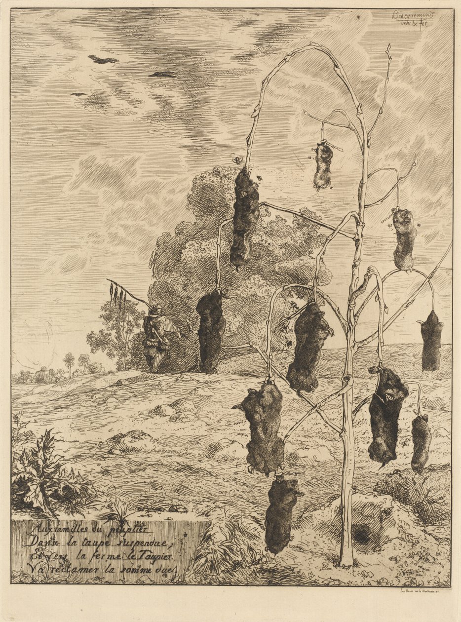 As toupeiras de Felix Bracquemond
