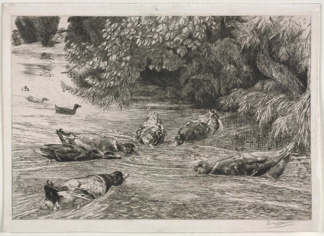 O ponto de interrogação, c. 1865. de Felix Bracquemond