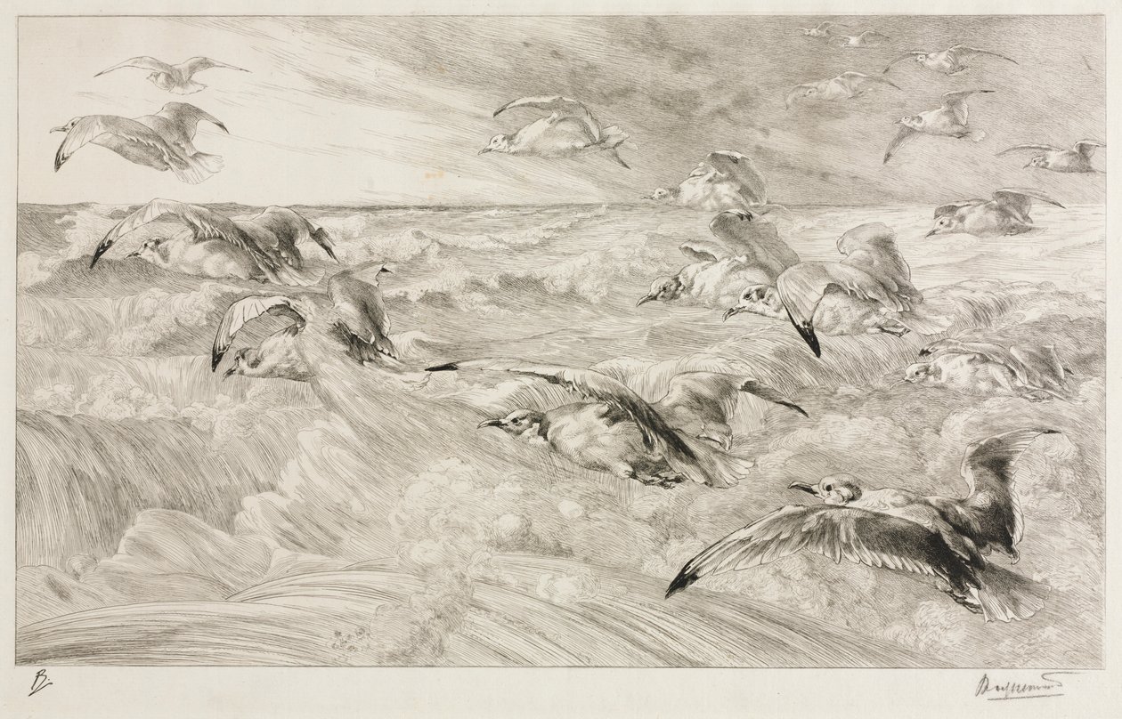 As gaivotas, c. 1880 de Felix Bracquemond