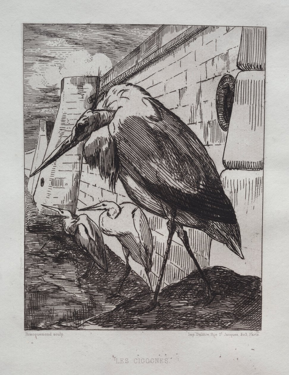 As cegonhas, 1865. de Felix Bracquemond
