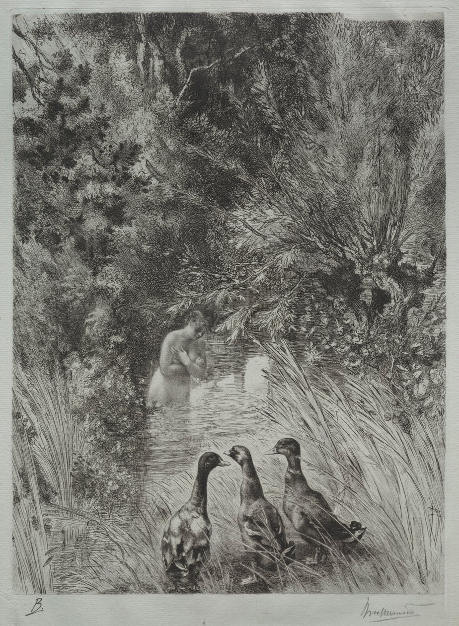 Os Patos Surpreendidos. de Felix Bracquemond