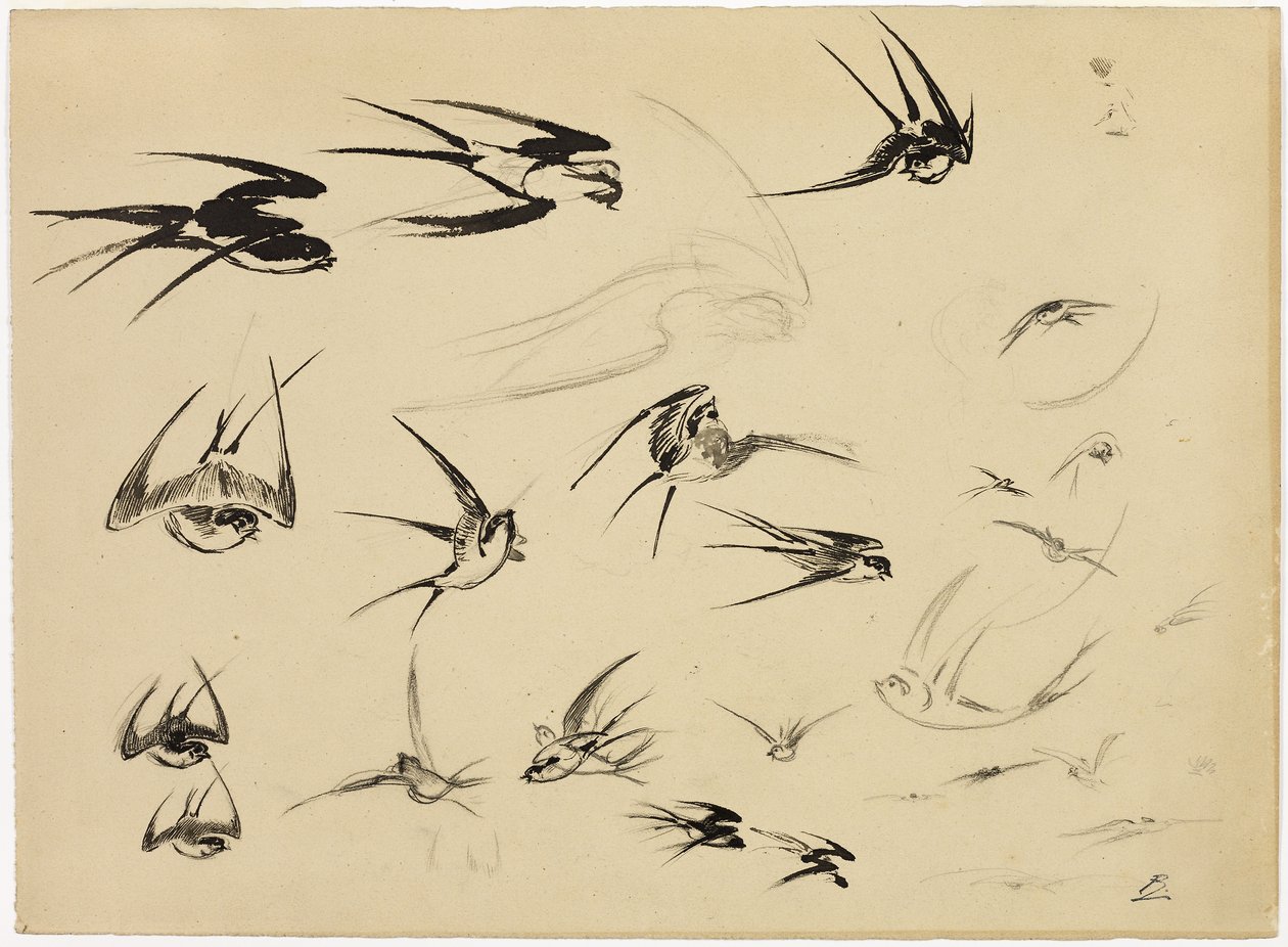 As andorinhas, c.1881 (caneta, pincel, tinta, giz, lápis de cera e grafite sobre papel) de Felix Bracquemond