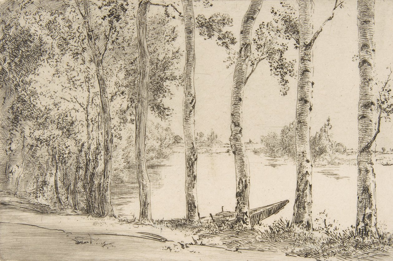 Álamos do Sena, ca. 1884. de Felix Bracquemond