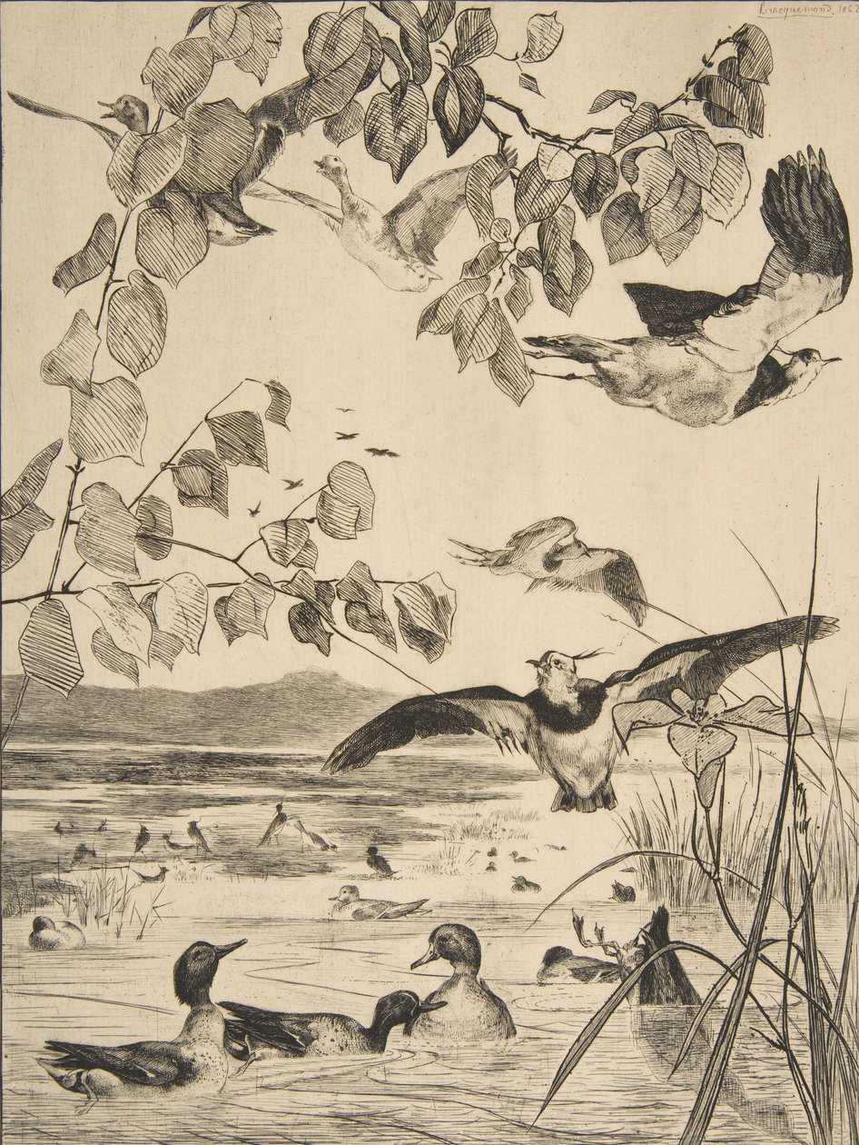 Abibe e Sarcelles, 1862. de Felix Bracquemond