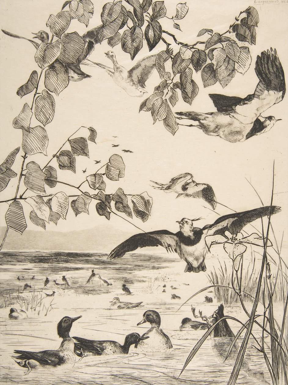 Abibe e Sarcelles, 1862. de Felix Bracquemond
