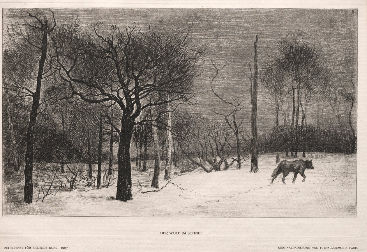 Inverno, 1862. de Felix Bracquemond