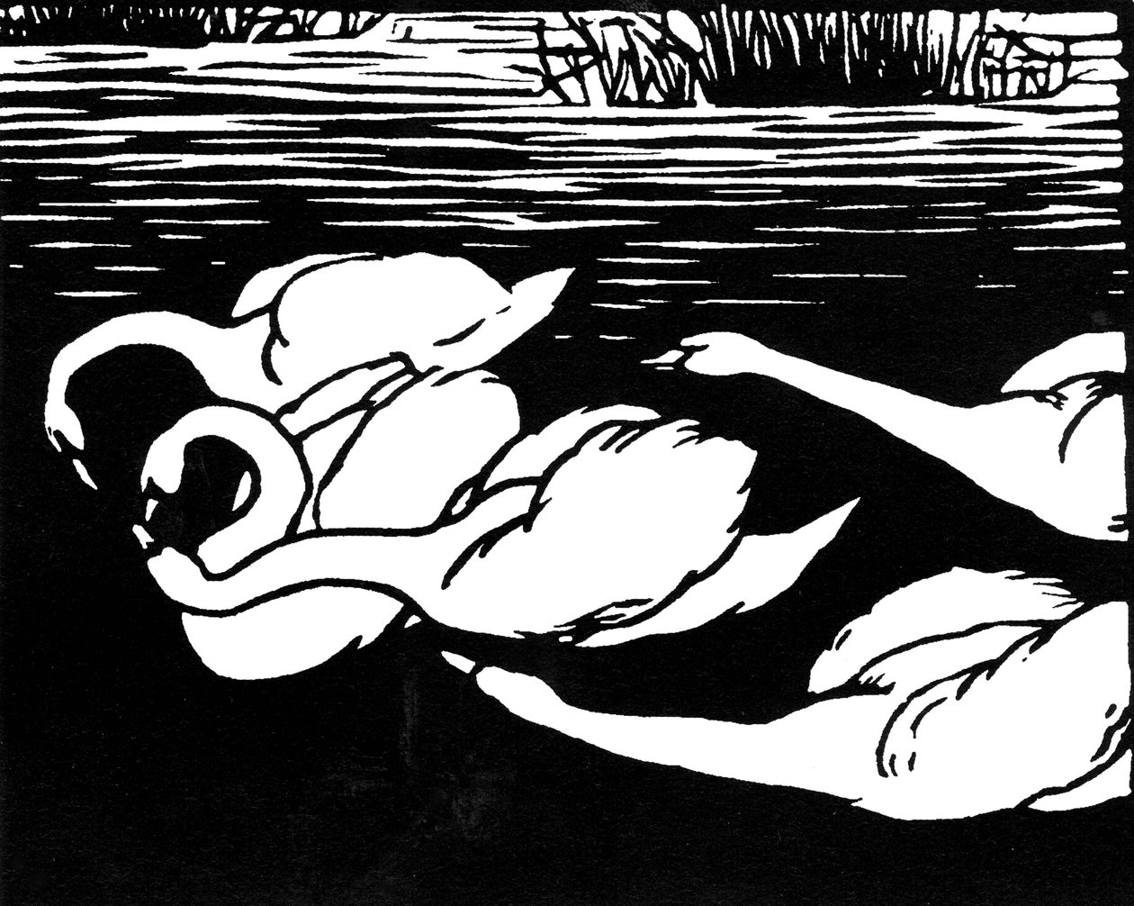 Cisnes, 1892. de Felix Edouard Vallotton
