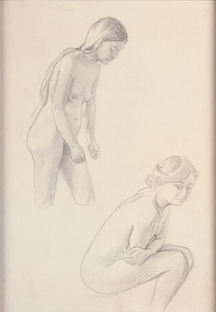 Dois nus de Felix Edouard Vallotton