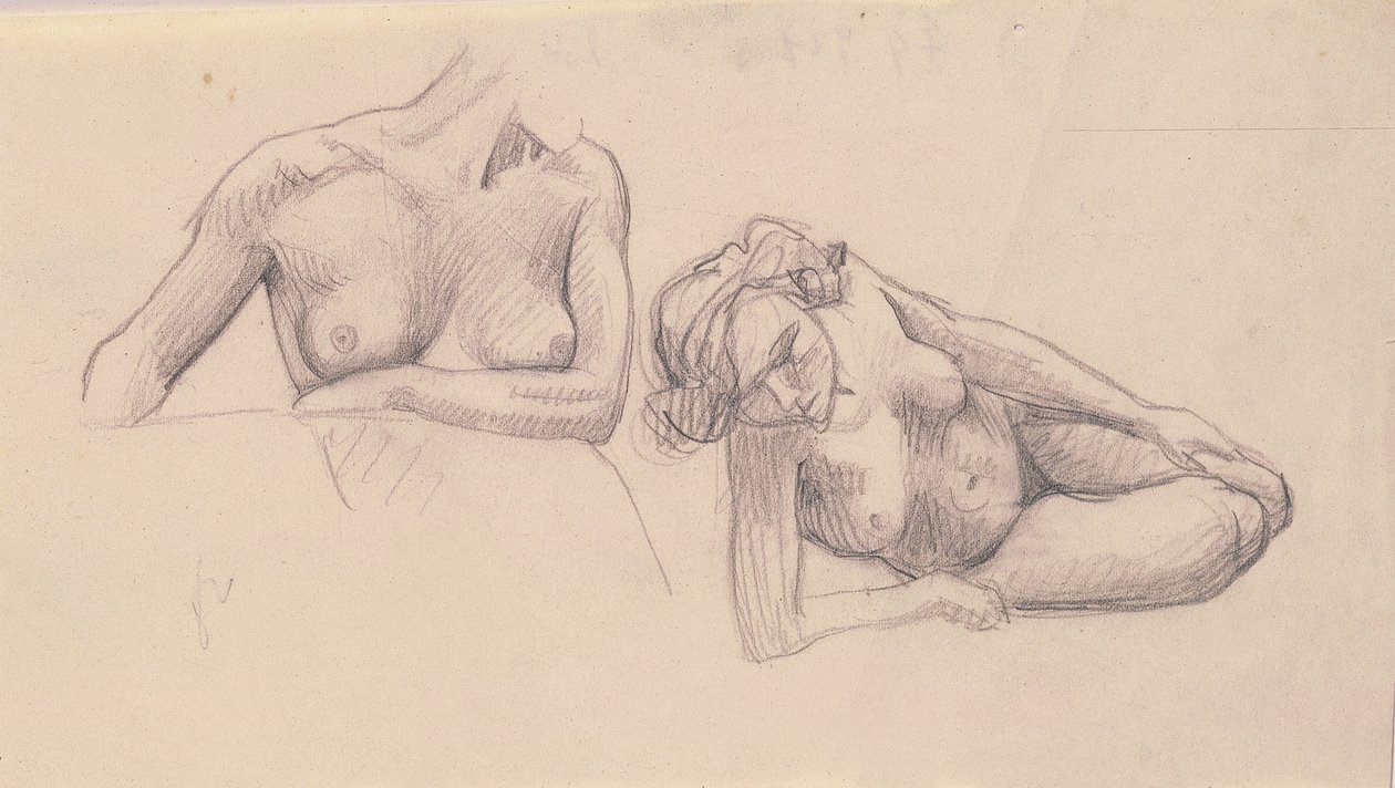 Dois estudos de nus femininos de Felix Edouard Vallotton