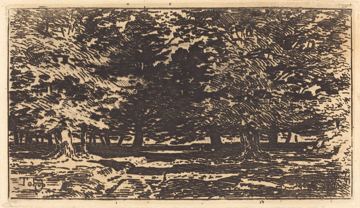 Forêt de Felix Hilaire Buhot