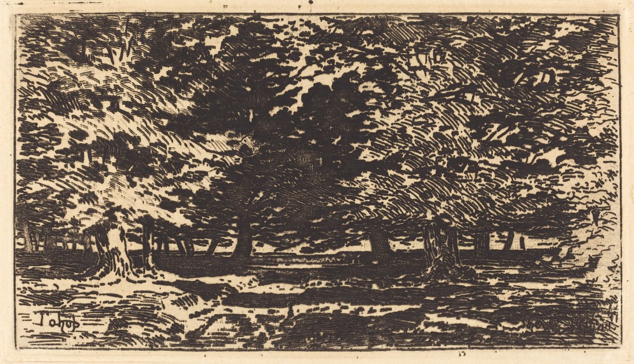 Forêt de Felix Hilaire Buhot