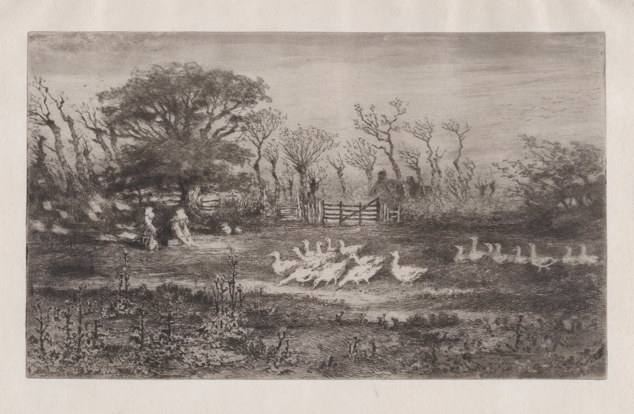 Gansos, 1860-98. de Felix Hilaire Buhot
