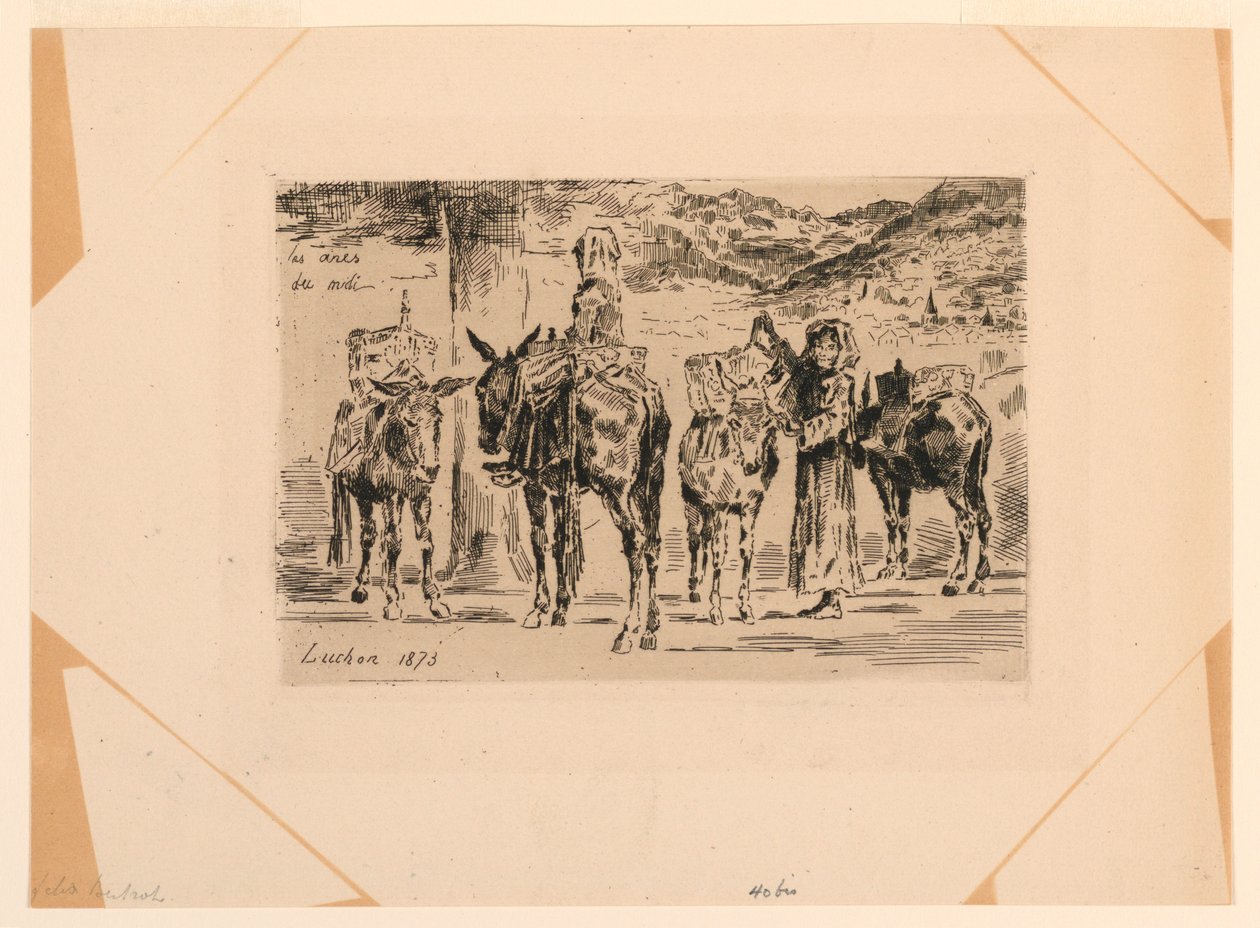 burros do sul de Felix Hilaire Buhot