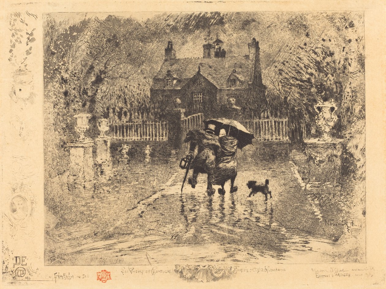 Floresta. de Felix Hilaire Buhot