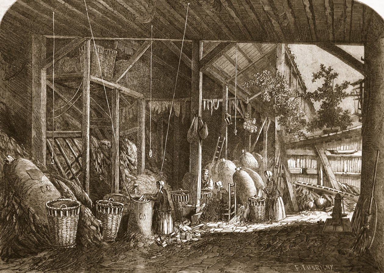 Um armazém de pano no Quartier Mouffetard, em Paris, ilustração de &39;The Illustrated London News&39;, 8 de junho de 1861 de Felix Thorigny