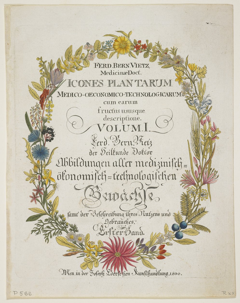 Frontispício e página de título, vol. 1, de ícones Planta Medica descrição experiência econômico-tecnológica com seus retornos, 1800 (gravura mão-colorida) de Ferdinand Bernhard Vietz