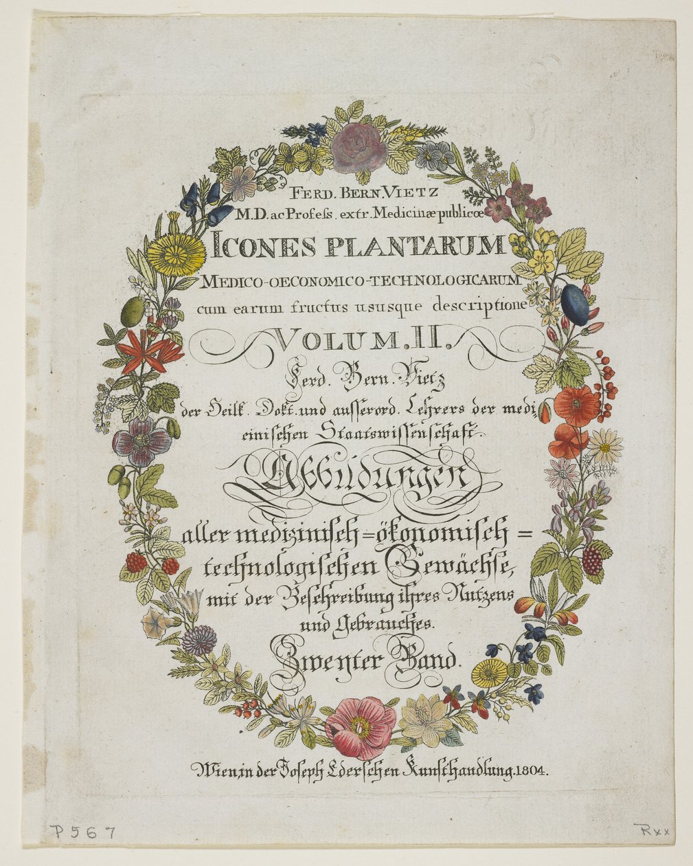 Frontispício e página de título, vol. 2, a partir de ícones Planta Medica descrição experiência econômico-tecnológica com as suas declarações de 1804 (gravura mão-colorida) de Ferdinand Bernhard Vietz
