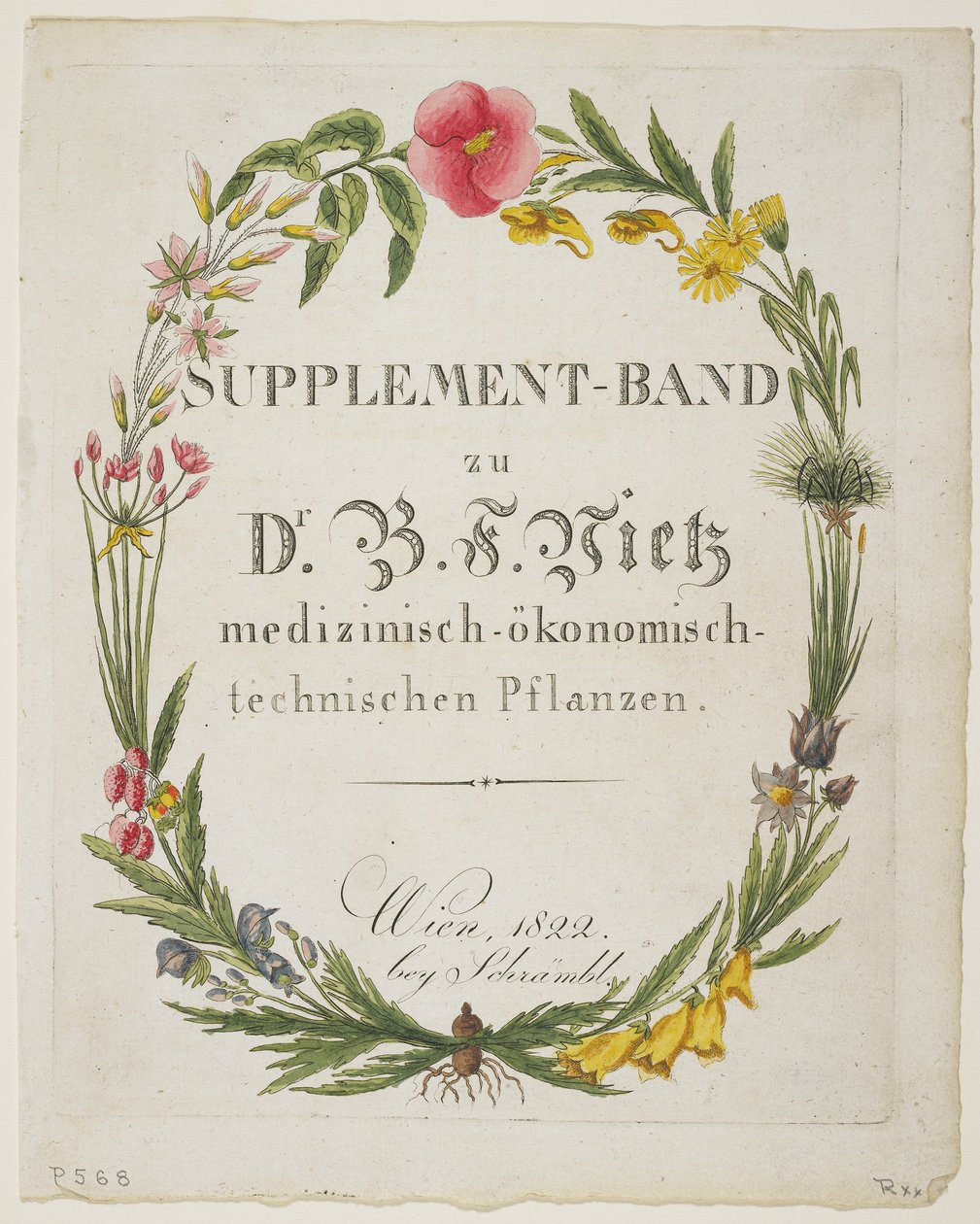 Frontispício e página de título ao suplemento-Band zu Dr. B Vietz plantas medizinisch-ökonomisch-technischen, de ícones Planta Medica experiência econômico-tecnológica com seus retornos descrip de Ferdinand Bernhard Vietz