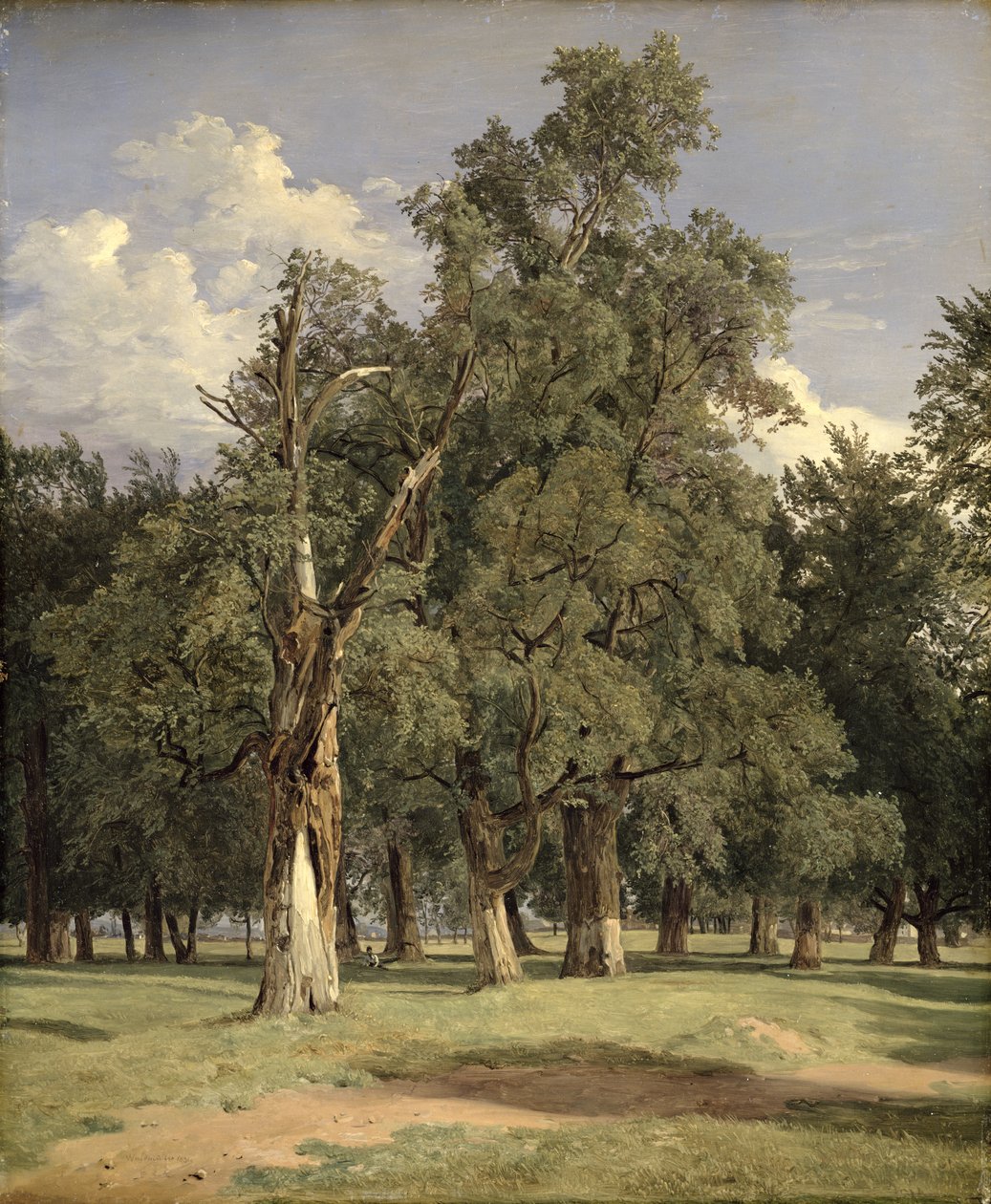 Árvores de olmo em Prater, 1831 de Ferdinand Georg Waldmuller