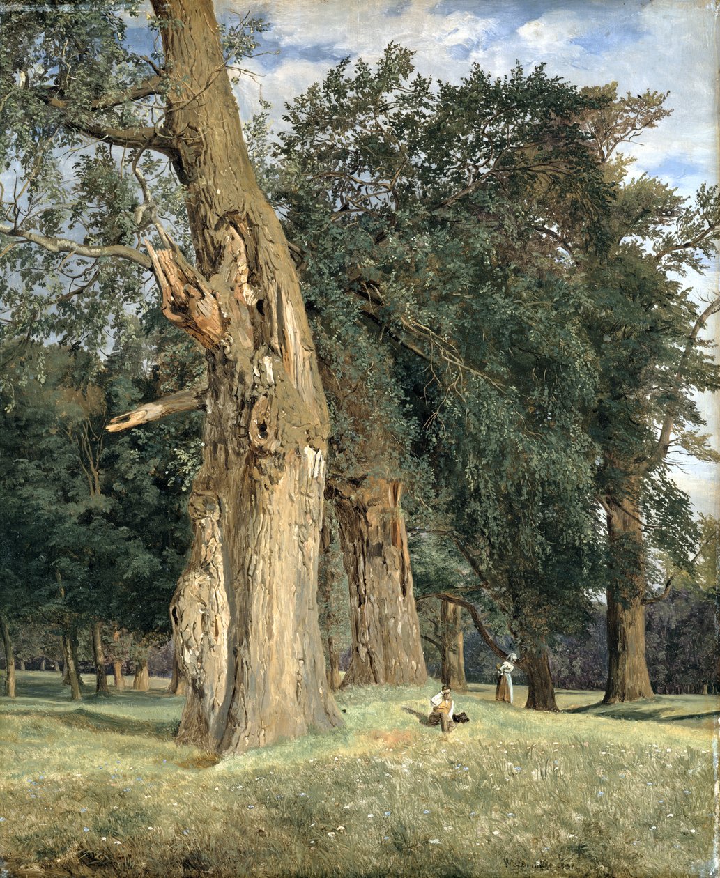 Olmos velhos em Prater, 1831 de Ferdinand Georg Waldmuller