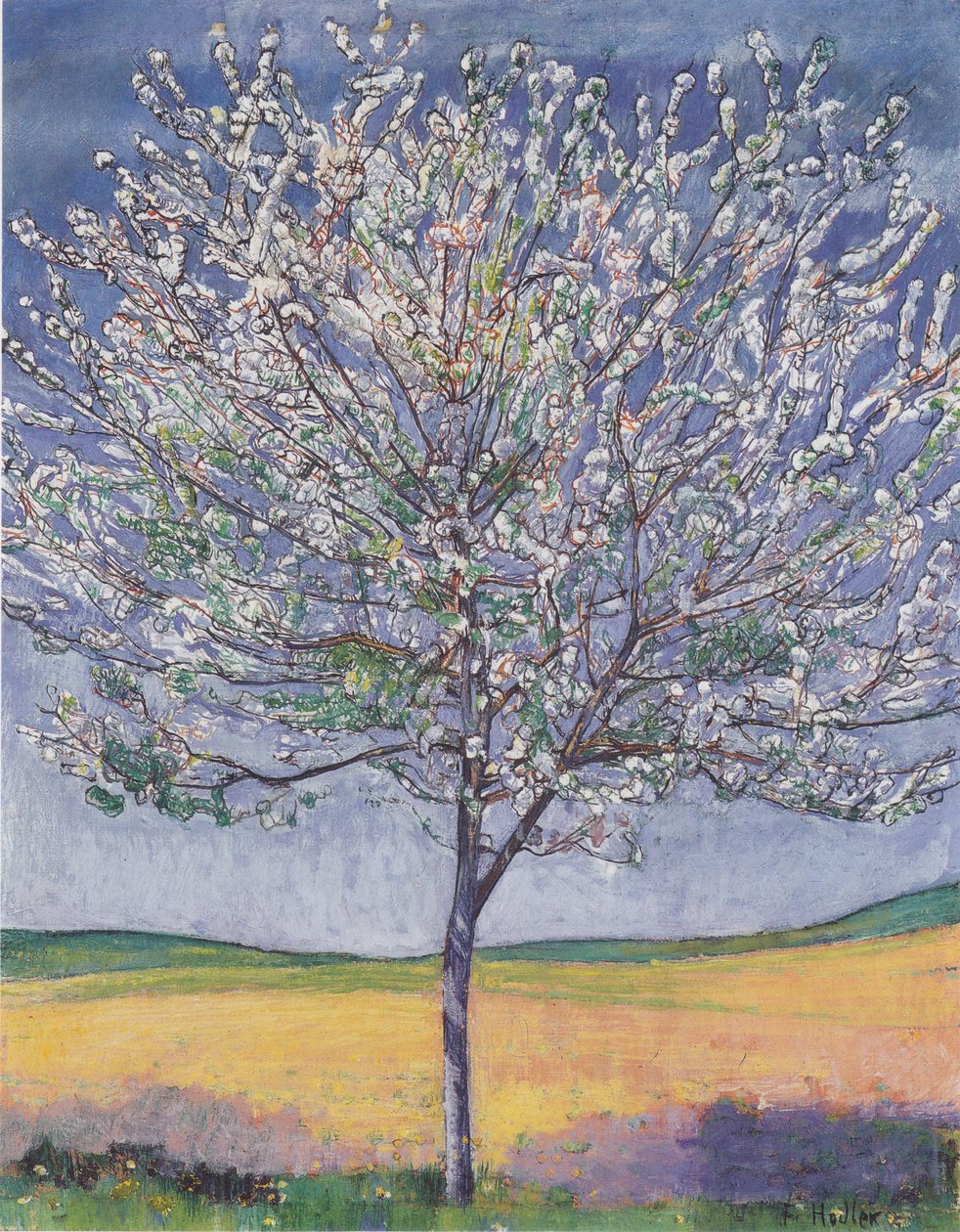 Árvore de cereja florescendo de Ferdinand Hodler