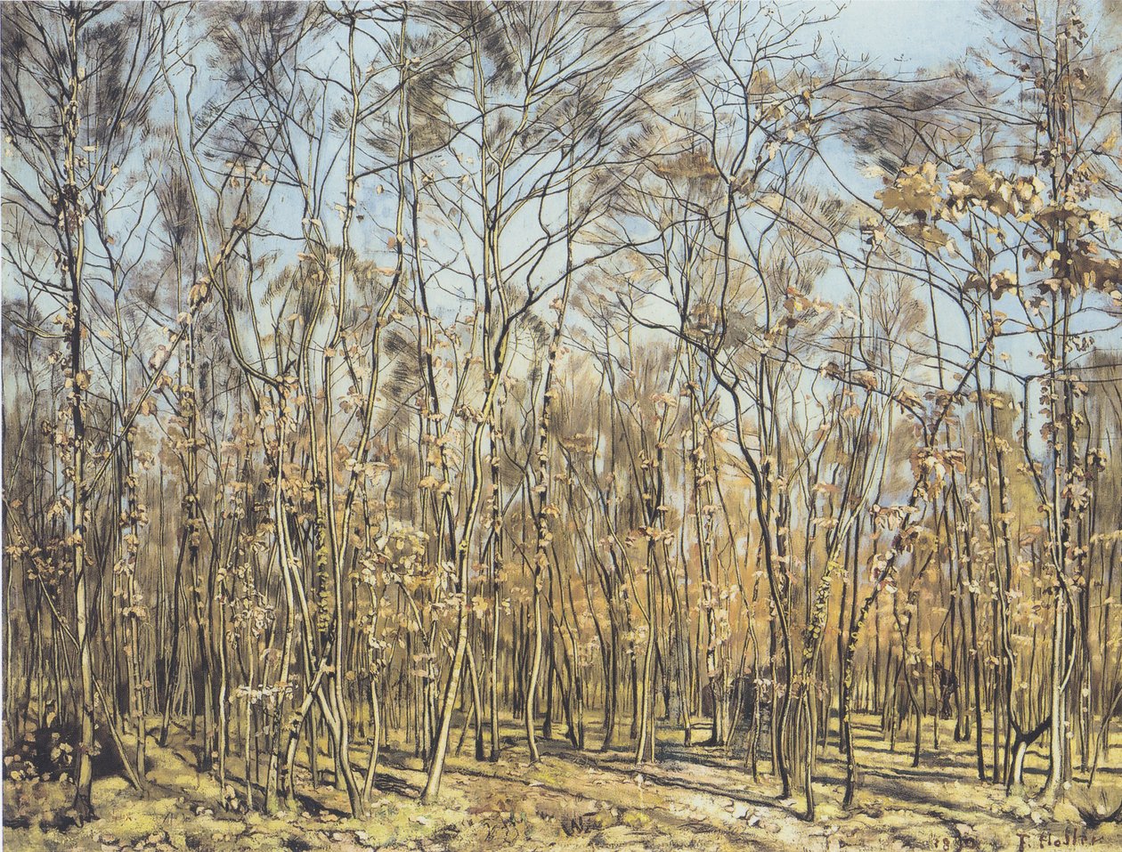 A floresta de faias de Ferdinand Hodler