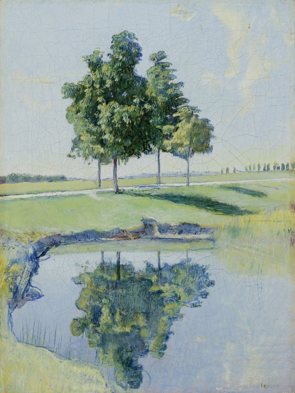 castanheiros de Ferdinand Hodler