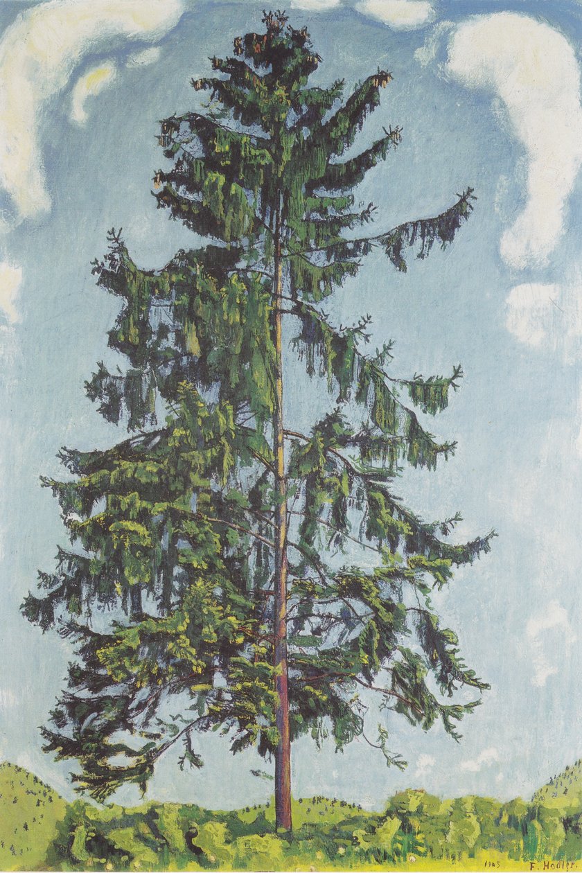 Abeto em Chamby2 de Ferdinand Hodler