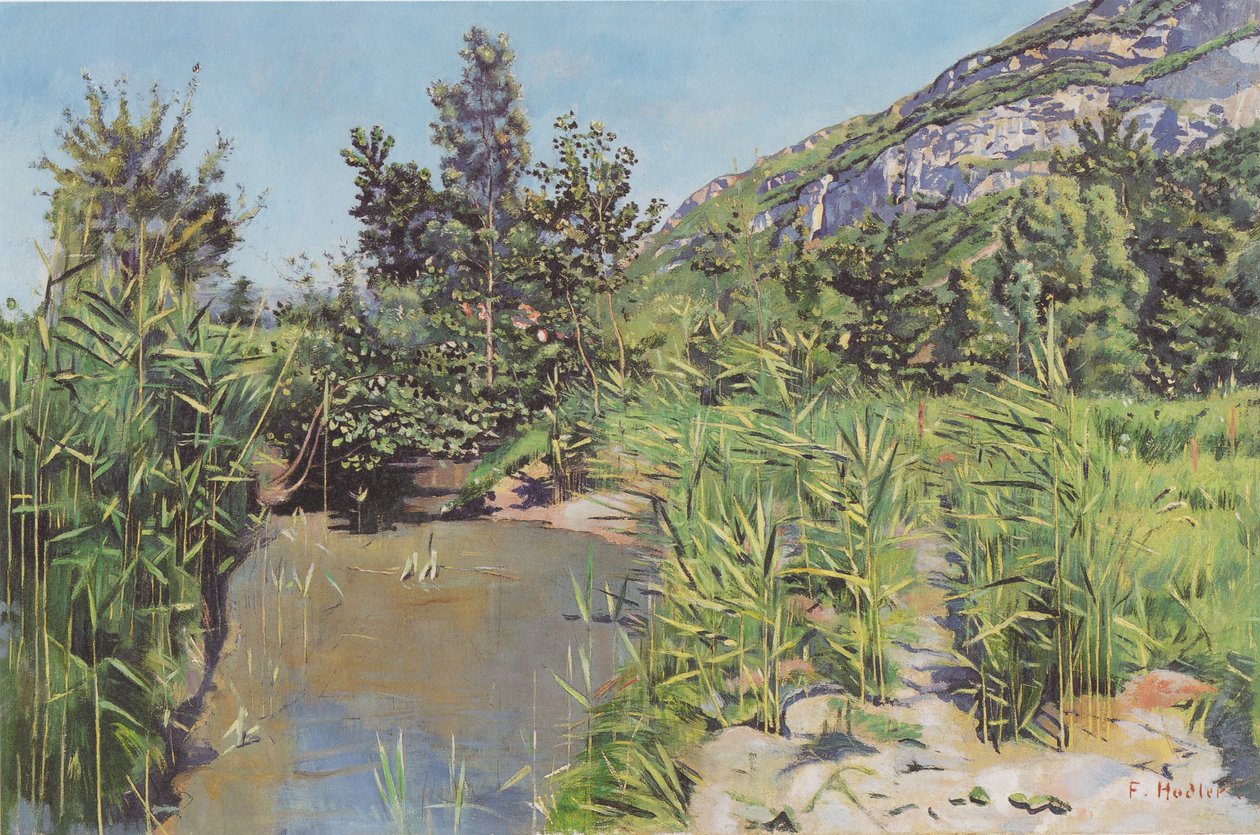 Teichland paisagem perto de Veyrier de Ferdinand Hodler