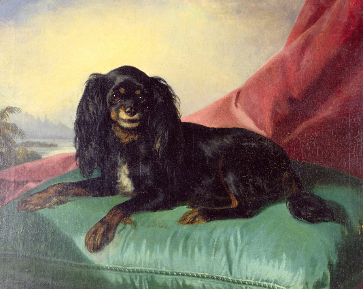 Um Spaniel de rei Charles em um coxim verde de Ferdinand Krumholz