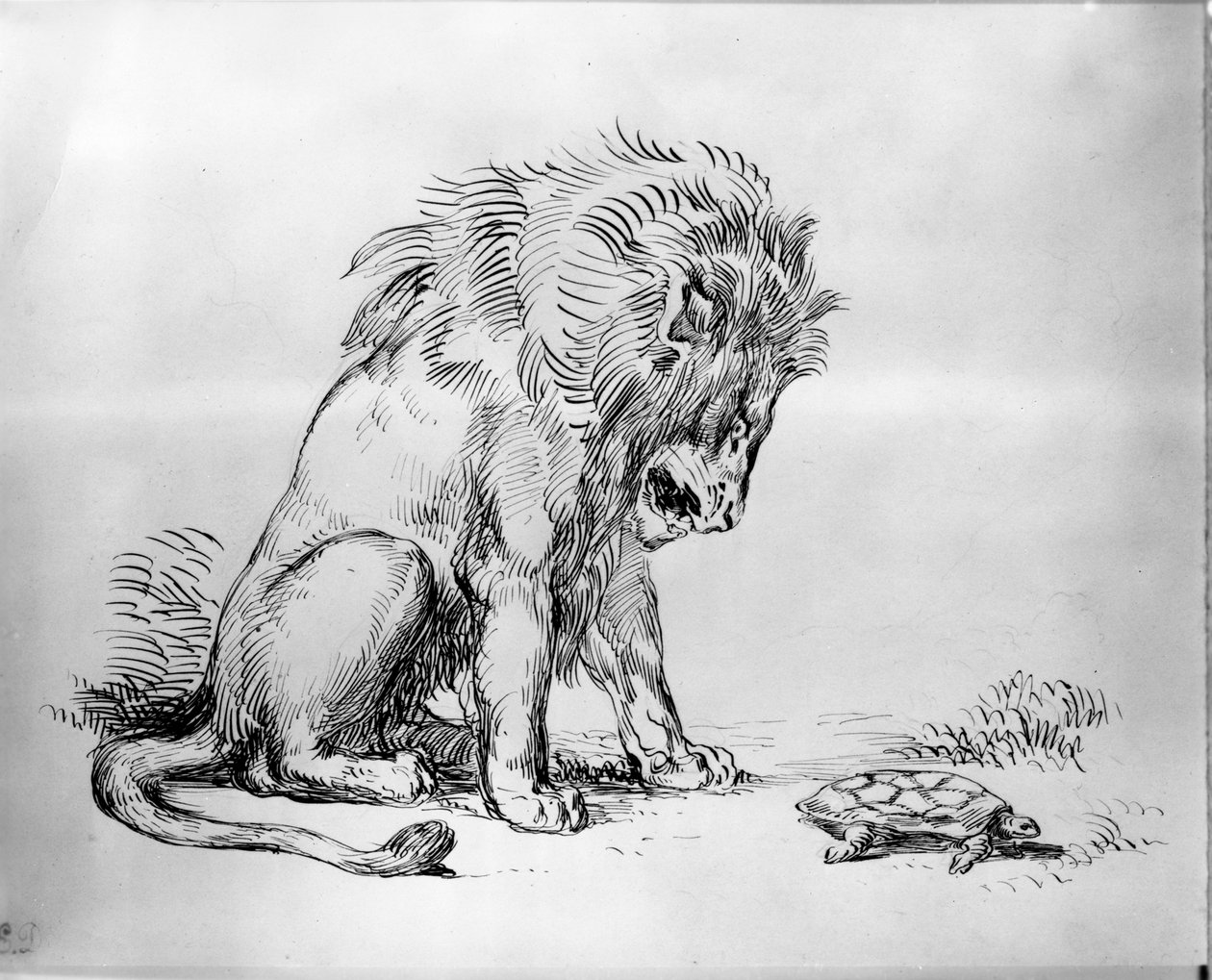 Leão e Tartaruga de Ferdinand Victor Eugene Delacroix