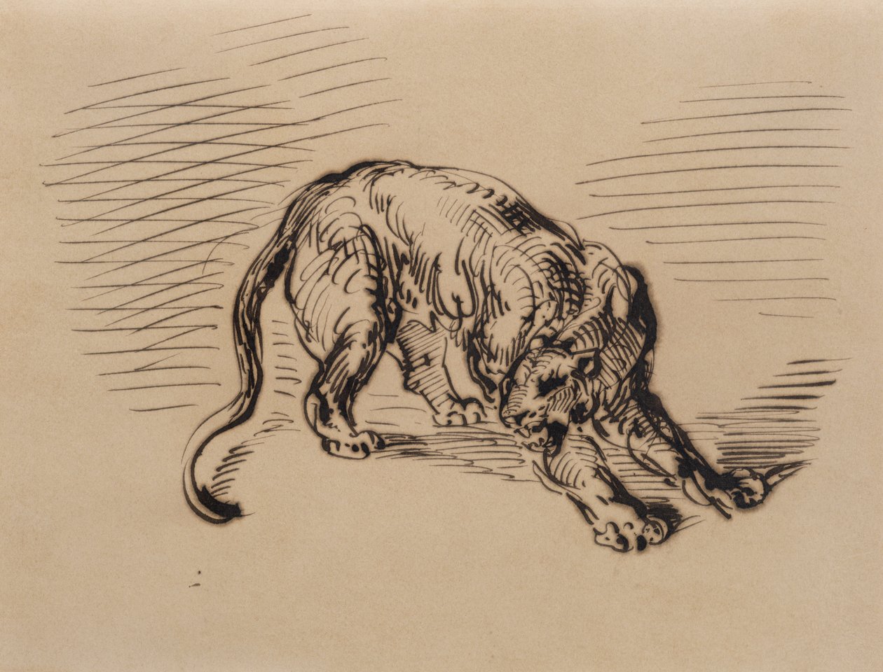 Tigre Assustado por uma Serpente, 1858 (caneta e tinta sobre papel vegetal) de Ferdinand Victor Eugene Delacroix