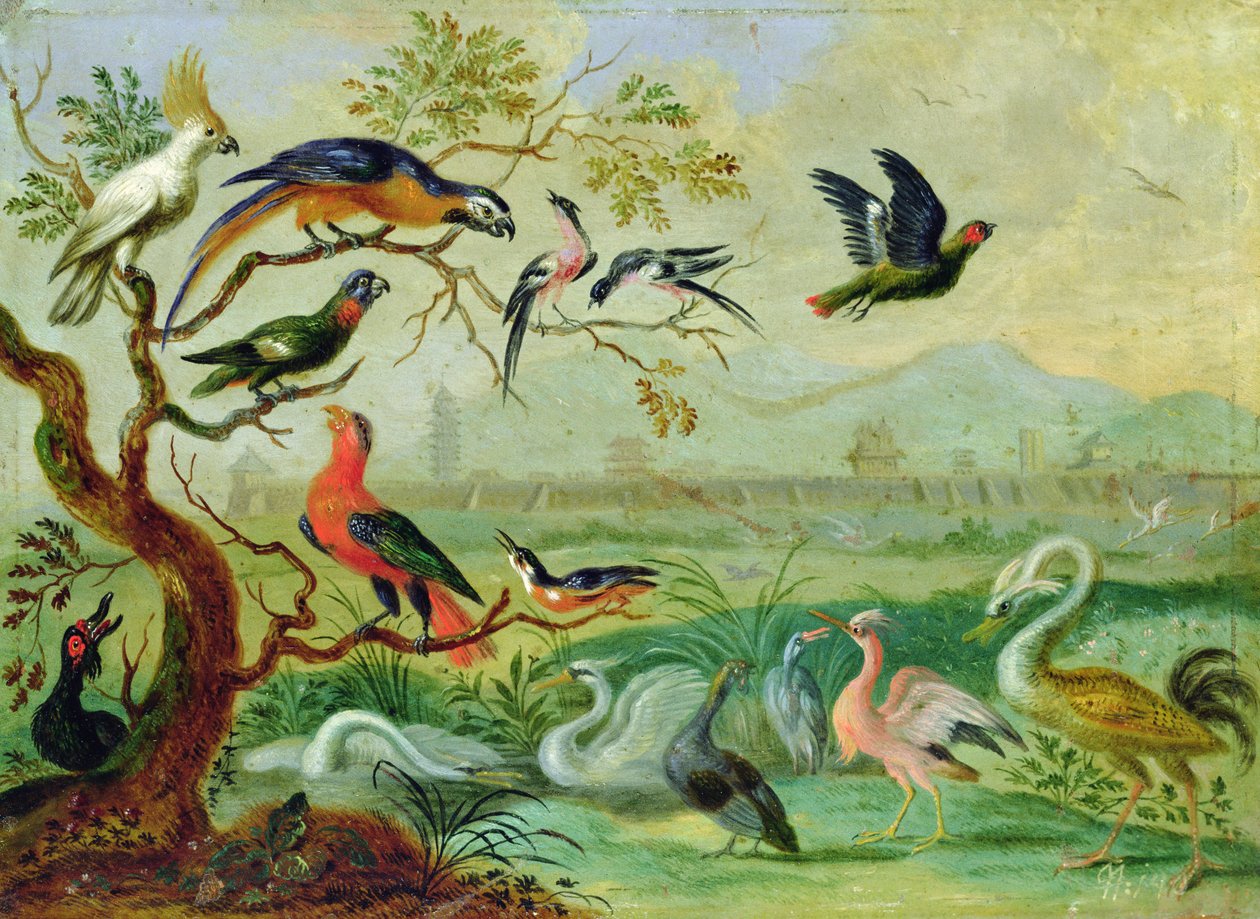 Aves dos quatro continentes em uma paisagem com vista de Pequim ao fundo (óleo sobre cobre) de Ferdinand van Kessel