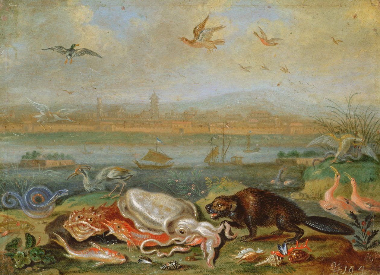 Criaturas dos quatro continentes em uma paisagem com vista de Cantão ao fundo (óleo sobre cobre) de Ferdinand van Kessel