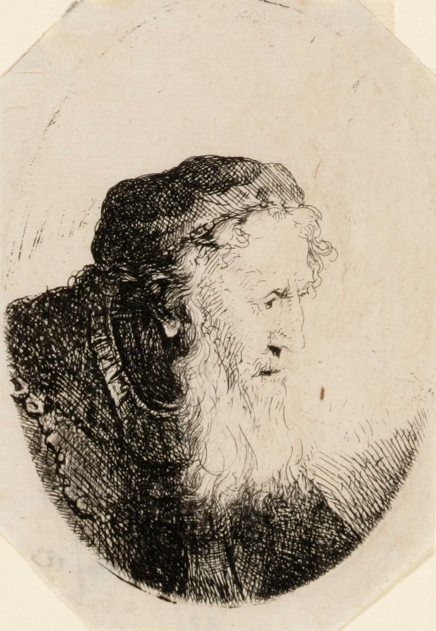 Homem idoso com barba esvoaçante de Ferdinand Bol