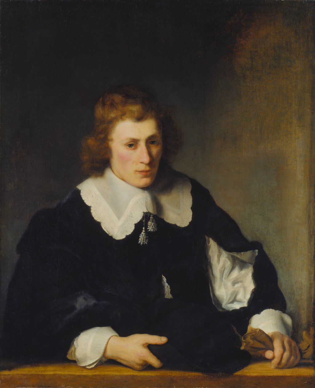 Retrato de um jovem de Ferdinand Bol