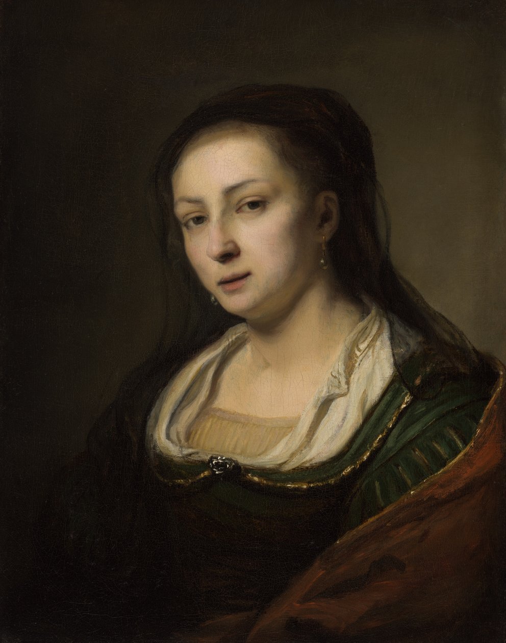 Retrato de uma mulher de Ferdinand Bol