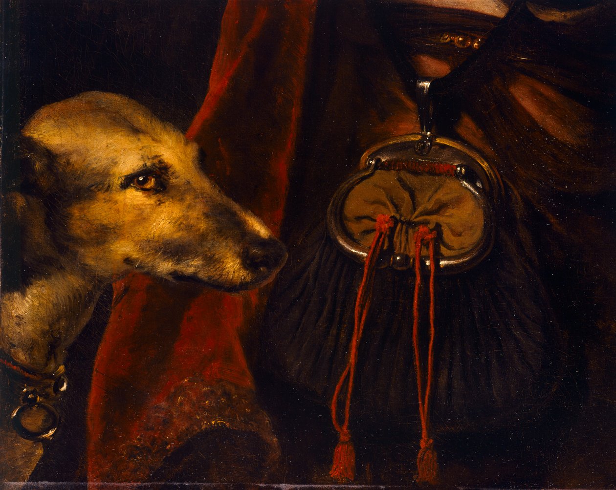 O Falconer de Ferdinand Bol