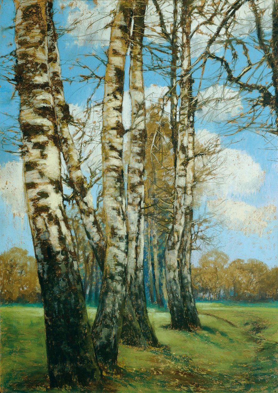 A bétula de Ferdinand Engelmuller