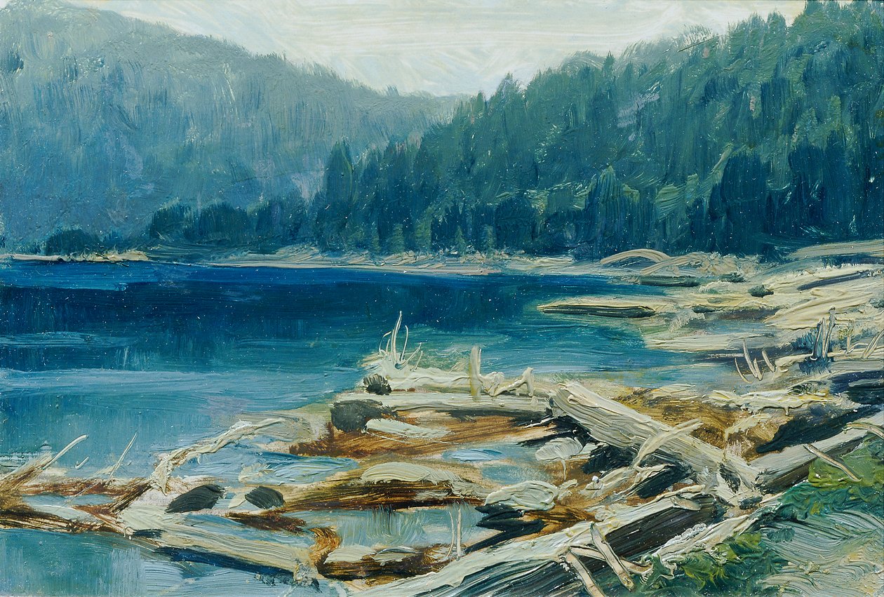Sumava (do portfólio "16 Vistas de Paisagens Checas 