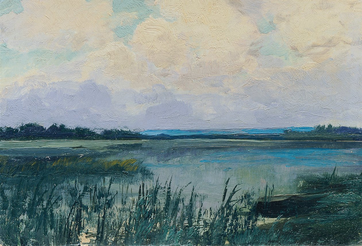 Wittingau (do portfólio "16 Views of Czech Landscapes 
