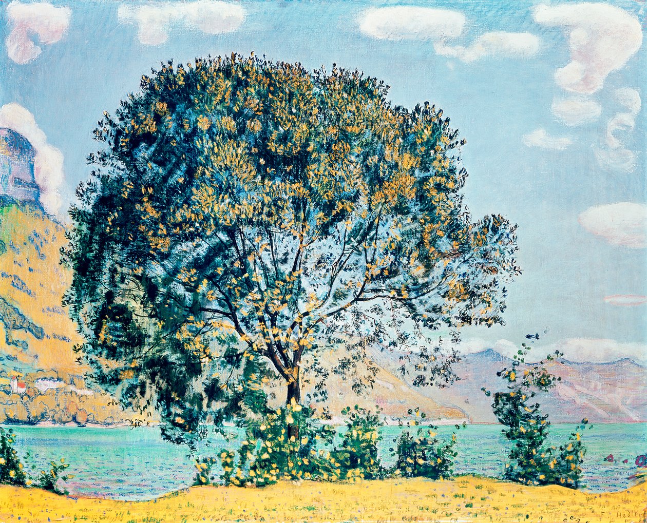 Imagem desconhecida de Ferdinand Hodler