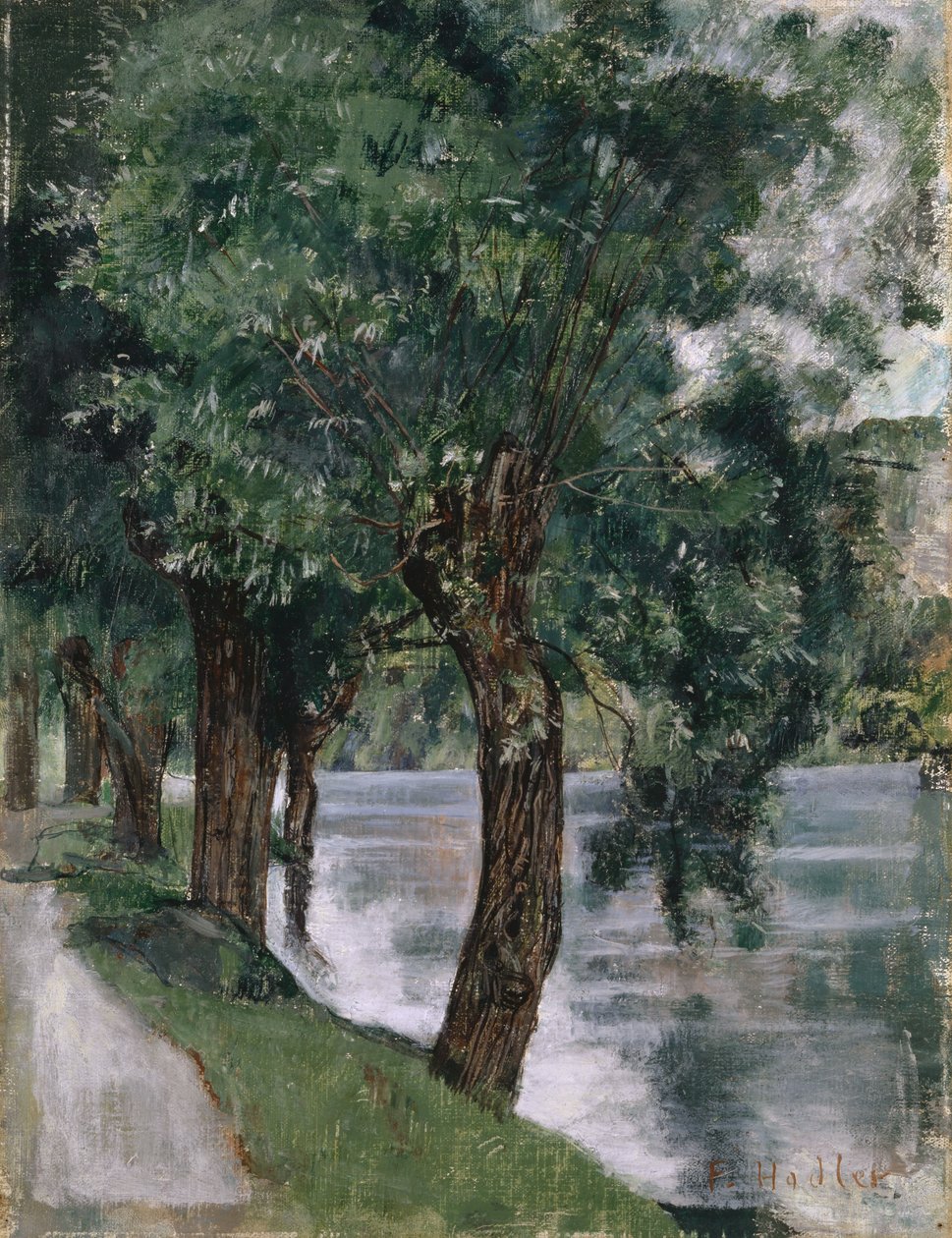 Árvores de salgueiro no Rhone, c.1885 de Ferdinand Hodler